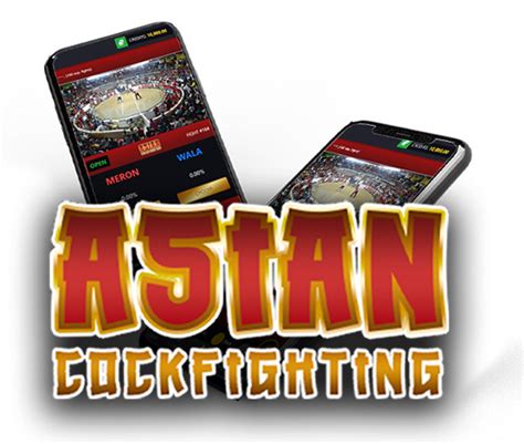 playperya register|Asian Cockfighting.